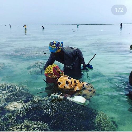 Re: Excursions par Britonboy Zanzibar - Guillaume-Pichon