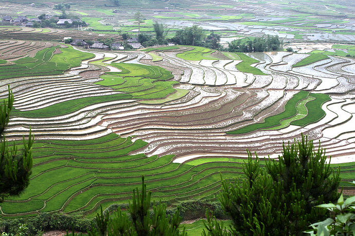 Re: Dernièes nouvelles de Sapa - Abalone_vn