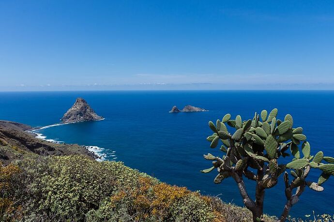 Idées de randonnées dans l'Anaga à Tenerife, le paradis des marcheurs - mifuguemiraison