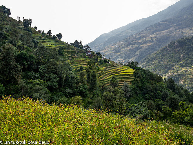 Le bonheur est-il dans les Annapurnas ?  Récit de notre trek de six jours. - un-tuk-tuk-pour-deux