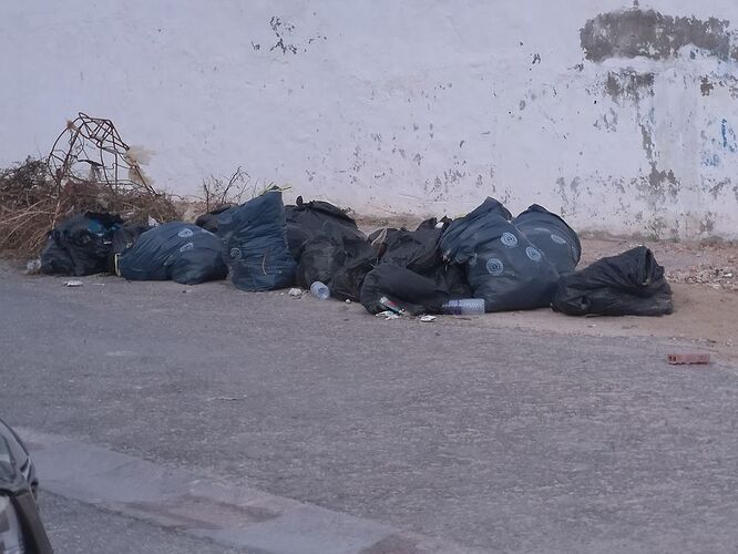 Re: Visiter une médina dans les alentours de Tunis  - Romuald41