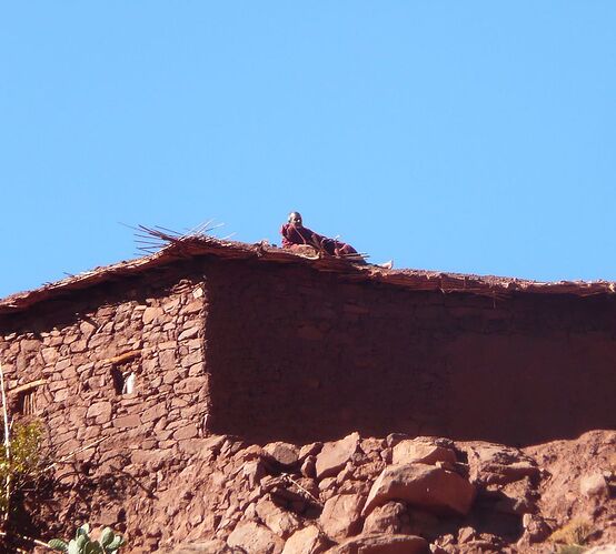 Re: Montagnes, oasis, kasbahs du Maroc  - trostang