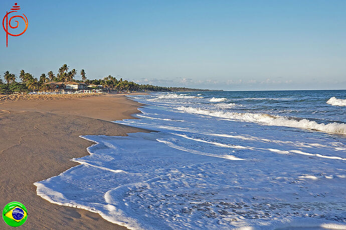 Re: Salvador - Tour des plages et Tortues - Ivan Bahia Guide