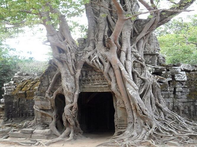 Re: Besoin d'aide n'hésitez pas, j'habite au Cambodge - quinqua voyageuse