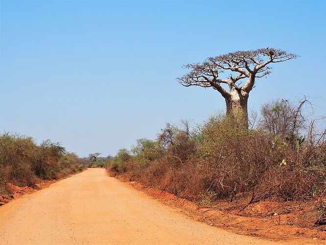 4 semai,es en 4x4 à Madagascar - PIHIEN