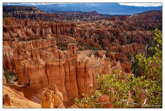 BRYCE (170)