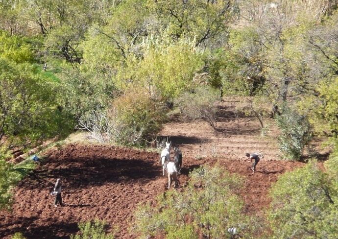 Re: Au retour de notre voyage en famille dans le sud du Maroc  - Kelyah