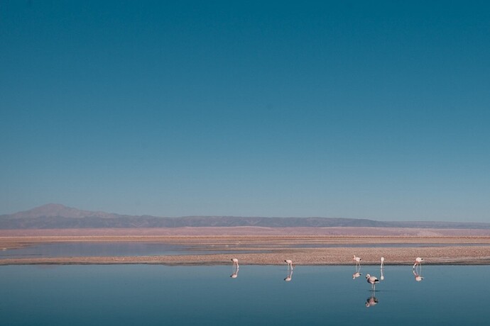 A la découverte du désert d’Atacama - @levoyagedaudrey