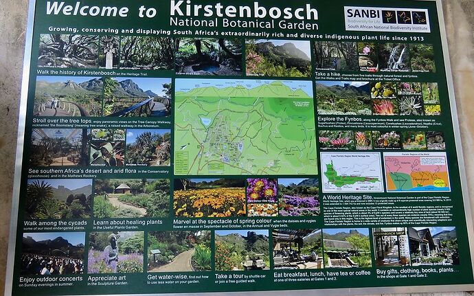 Les jardins de Kirstenbosch  - PATOUTAILLE