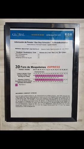 Re: Quelle plage et quel arrêt de bus au sud des Canaries ?  - Vanila