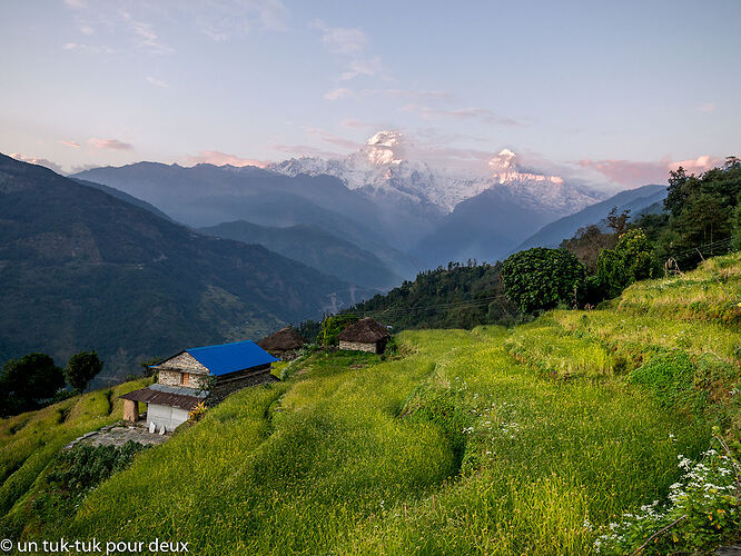 Le bonheur est-il dans les Annapurnas ?  Récit de notre trek de six jours. - un-tuk-tuk-pour-deux