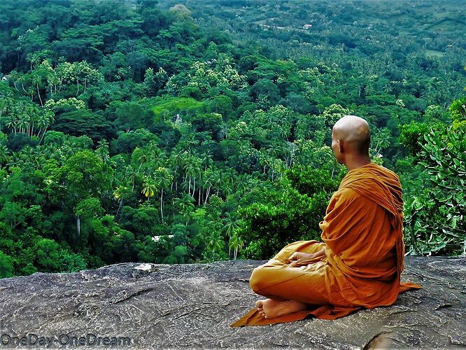 Un petit coin de paradis au Sri Lanka - OneDay-OneDream