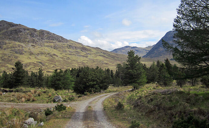 D'Inverie à Folach  - calamity jane