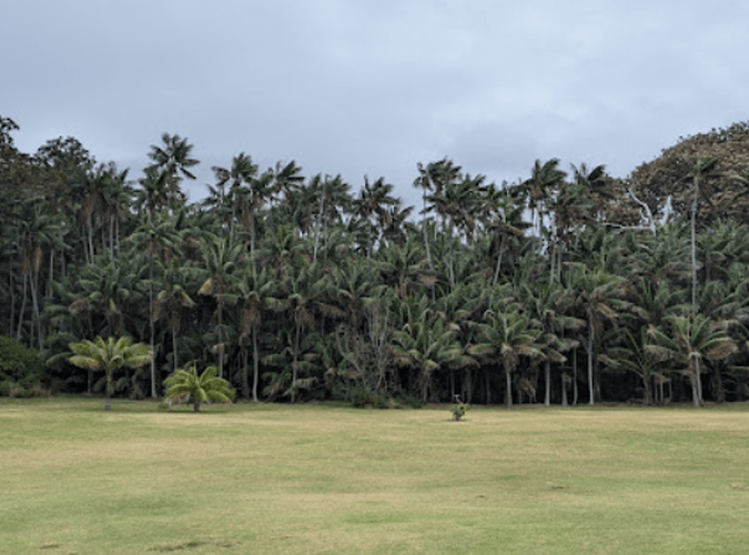 Randonnées et détente au plus près de la nature: 5 jours sur Lord Howe Island - exploringpaw