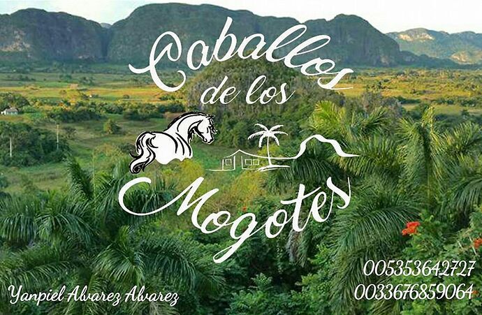 promenades à cheval à Vinales : un excellent opérateur franco cubain - viajecuba