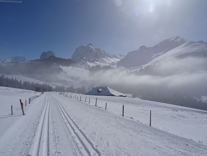 Une semaine hivernale en Suisse - PepetteEnVadrouille