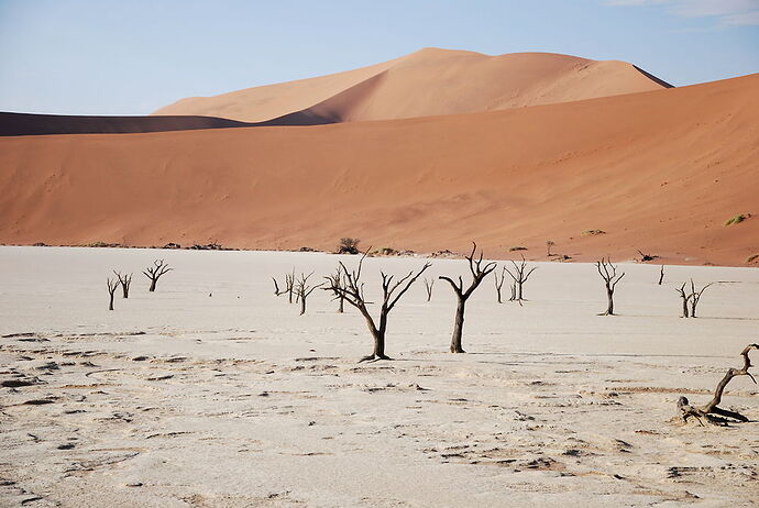 J14 - Dead vlei, Sossusvlei, Tsaris Mountains - llce