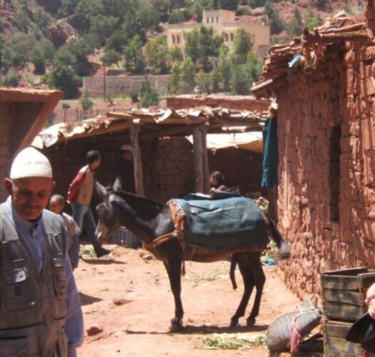 Montagnes,oasis,kasbahs du Maroc  - mimidada