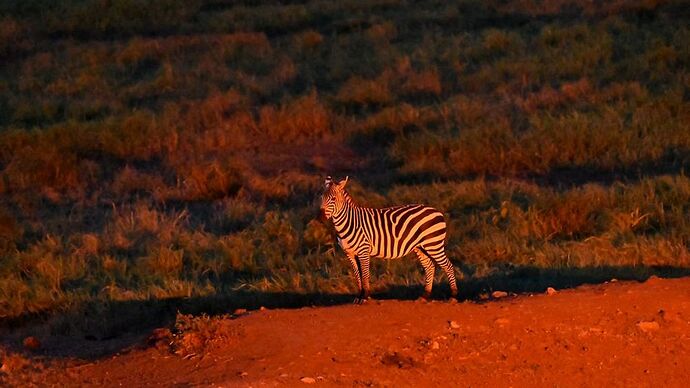 Re: Au coeur du Kenya ; le Kenya dans le coeur - Jmarc71