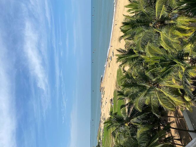 Un incroyable voyage au Sri Lanka grâce à notre chauffeur Buddi et Salut Sri Lanka - marine57911