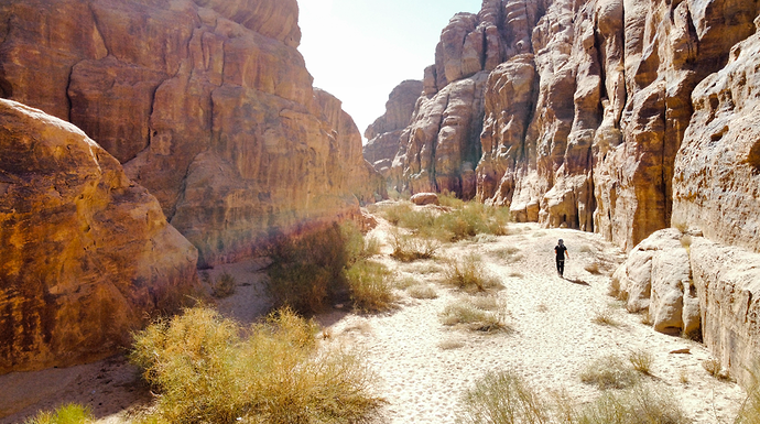 Wander Wadi Rum avec Metab  - sophie251268