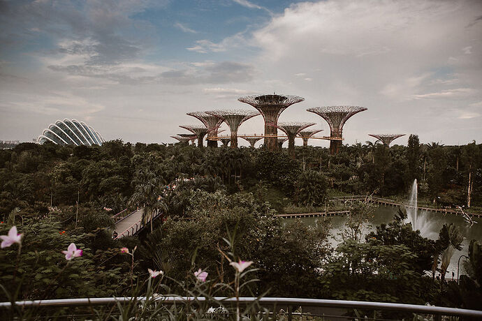 Un week end à Singapour - Frank Ryckewaert