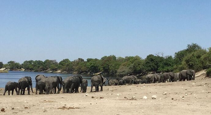 Re: NAMBOTSVIC Namibie- Botswana- Victoria Falls, 3 semaines magiques - PATOUTAILLE