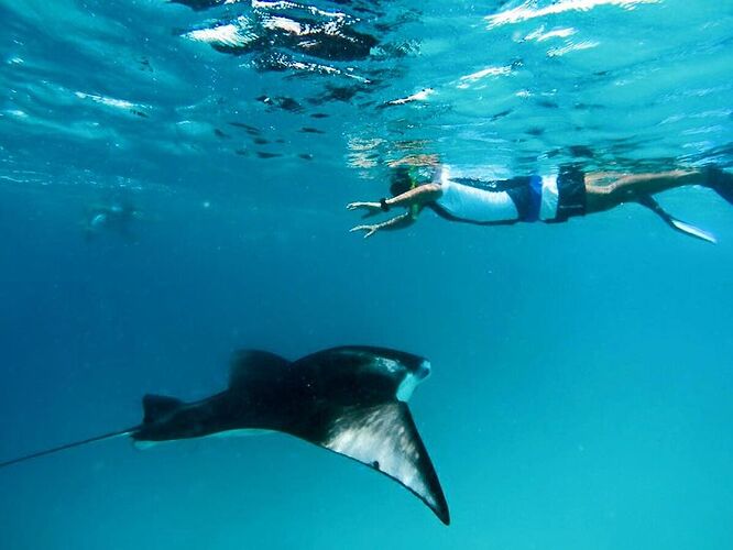 météo du jour ! Baa Atool - Philomaldives Guide Safaris