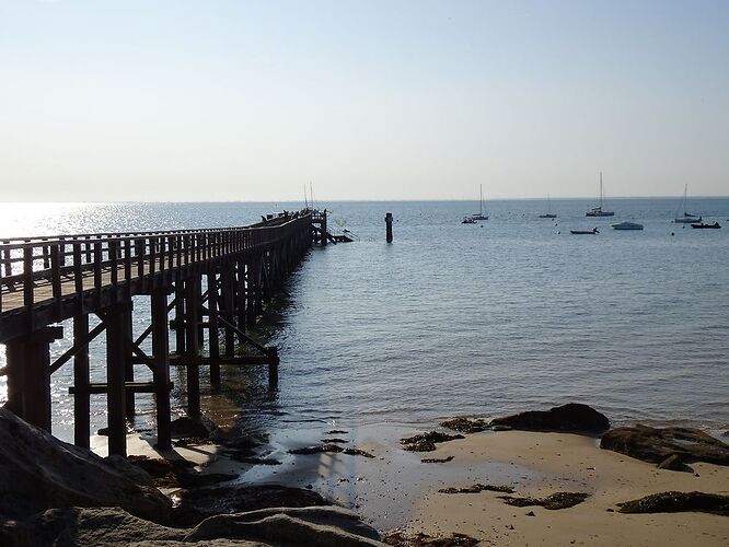 Re: Carnet de voyage 1 semaine sur l'île de Noirmoutier - Fecampois