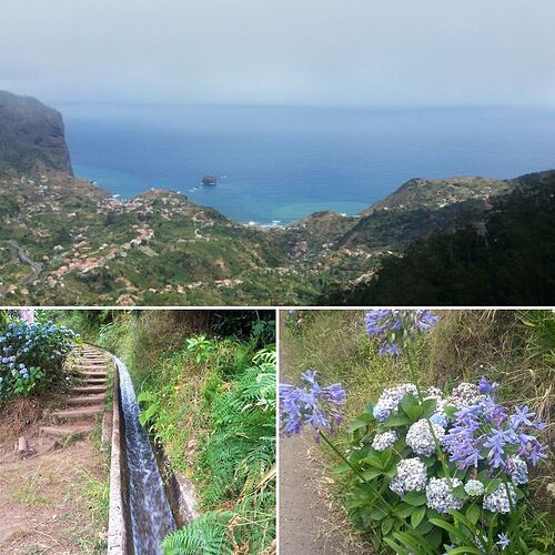 7 jours à la découverte du Jardin de l'Atlantique - Madère - Mathou2139