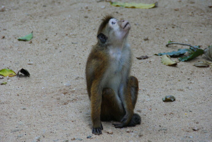 15 jours à la découverte du Sri Lanka & 2 jours aux Maldives - iingriidK