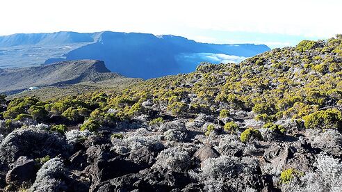 L'île INTENSE : Trek a l'île de la Réunion - Caro-Rando L'île INTENSE : Trek a l'île de la Réunion - Caro-Rando