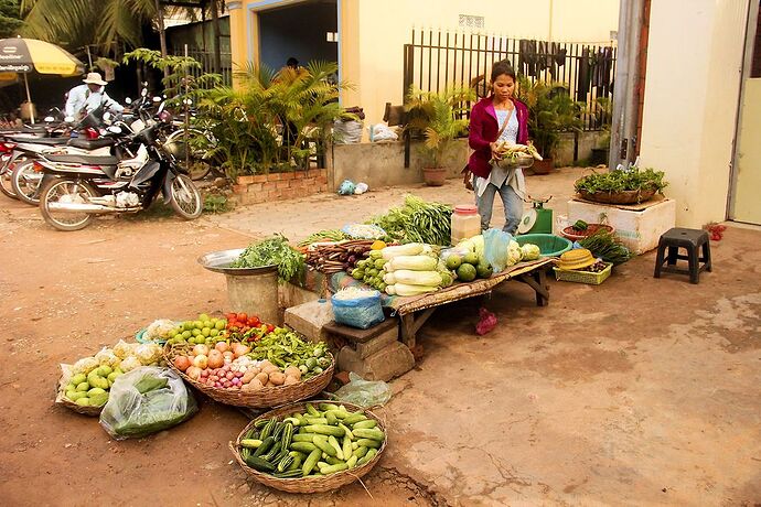 Aujourd'hui, petit tour très tôt le matin - IzA-Cambodia