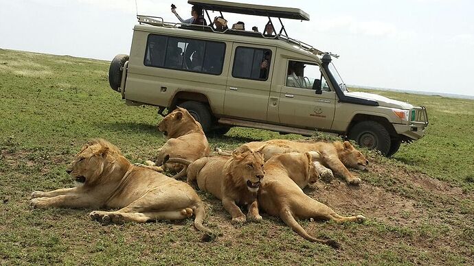 Re: Safari 5 jours départ Arusha - Leken-Adventure