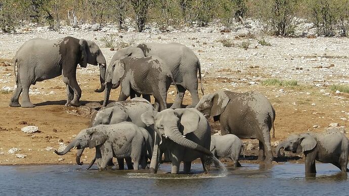 Re: autotour Namibie juillet 2017 - Fra67