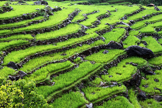 Re: Retour d'expérience avec Ethnic Travel / Pu Luong - Abalone_vn