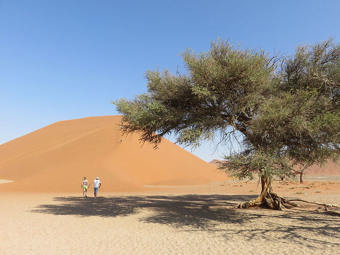 Re: Tour d'helicoptère/avion jusqu'à elim dune ou dune 45 intéressant? - Fra67