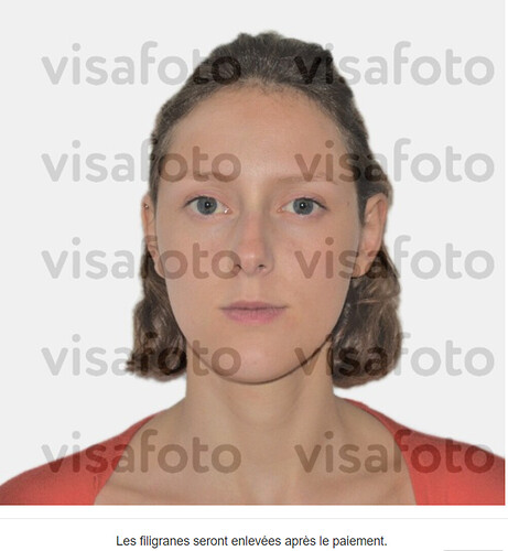 Re: Comment acquérir un visa au départ de la Belgique  - Camille-Coursez