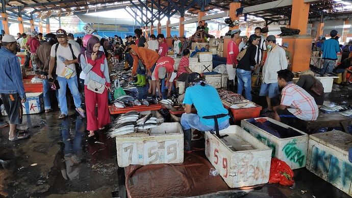 1 mois à Sulawesi en photo septembre 2019 - desbleu