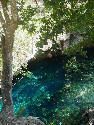 Re: Retour de 3 semaines au Yucatán au Mexique - Zoune