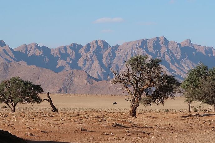 Re: Retour de Namibie fin mai début juin avec 2 loustics de 2 et 5 ans  - adefab