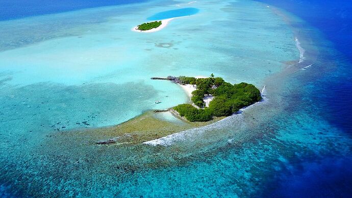 Sejour sur Rasdhoo - Ari - Vaavu Atoll  - En Janvier et ou Février 2022 - Phil Ô Maldives Guide Safaris