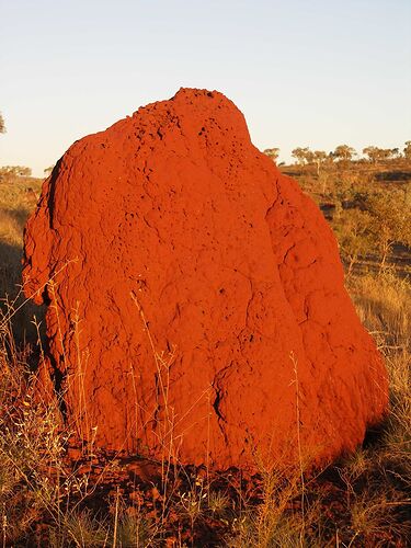 Re: 3 semaines à Perth en décembre - yensabai