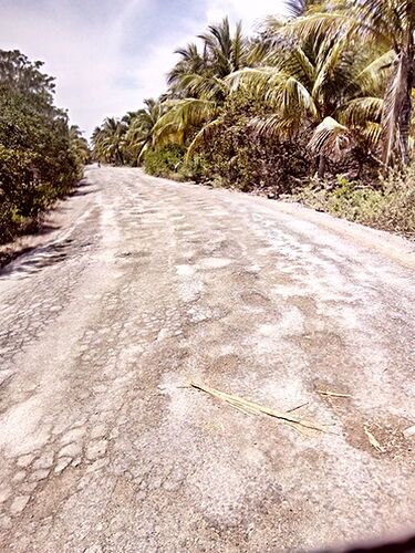 Re: Route pour Cayo Jutias après le passage Irma - chavitomiamor
