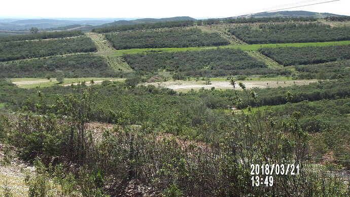 Re: Soleil de Février au Portugal 2018 - soleilen62