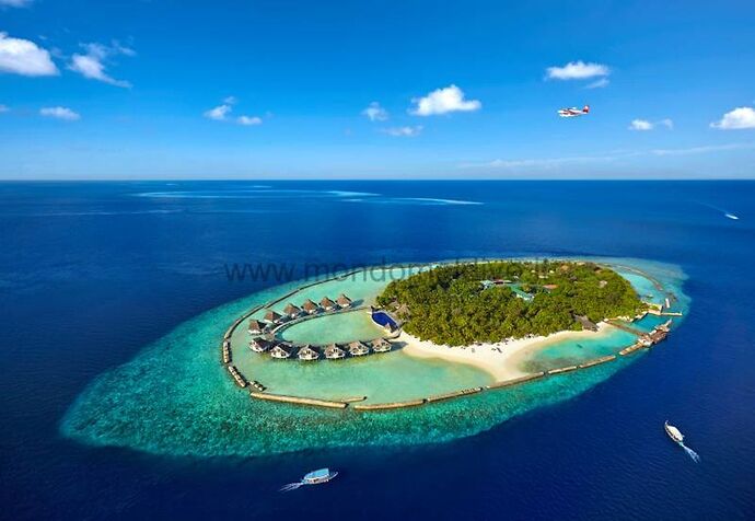 hôtel ellaidhoo - Ari Atoll Nord  - Phil Ô Maldives Guide Safaris