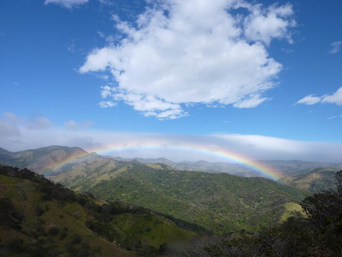 De retour de 15 jours au Costa Rica - delorg