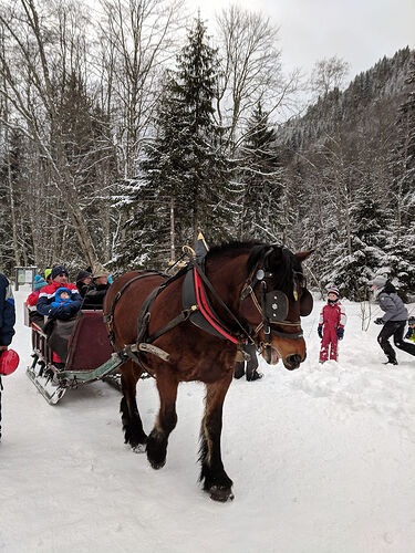 Re: Carnet de voyage une semaine au ski aux Contamines-Montjoie - Fecampois