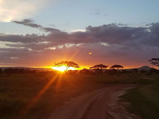 Safari en mai 2018 - voyage de noces  - audreymedhi