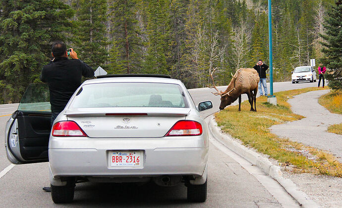 Re: Icefields Parkway le week-end ? - Canada - sian-ka-an